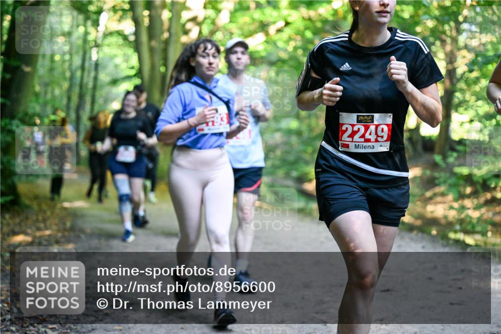 28.09.2025 - 33. Volkslauf durch das schöne Alstertal Dr. Thomas Lammeyer http://msf.ph/oto/8956600 28.09.2025 10:45:23 Laufen 2249 meine-sportfotos.de