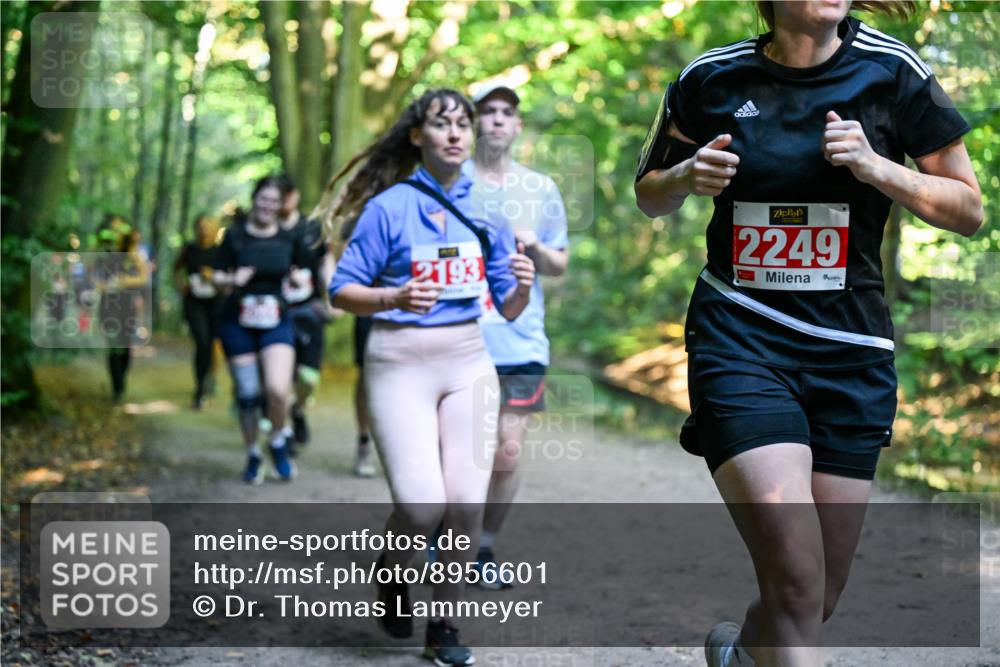 28.09.2025 - 33. Volkslauf durch das schöne Alstertal Dr. Thomas Lammeyer http://msf.ph/oto/8956601 28.09.2025 10:45:23 Laufen 2193, 2249 meine-sportfotos.de