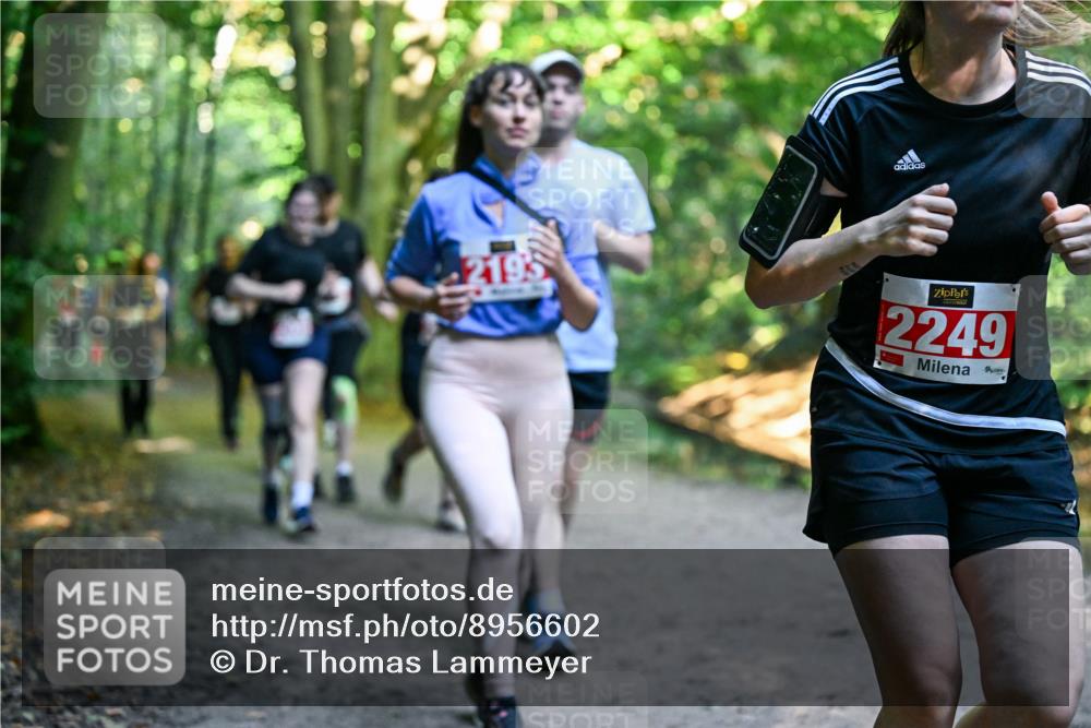 28.09.2025 - 33. Volkslauf durch das schöne Alstertal Dr. Thomas Lammeyer http://msf.ph/oto/8956602 28.09.2025 10:45:23 Laufen 2195, 2249 meine-sportfotos.de