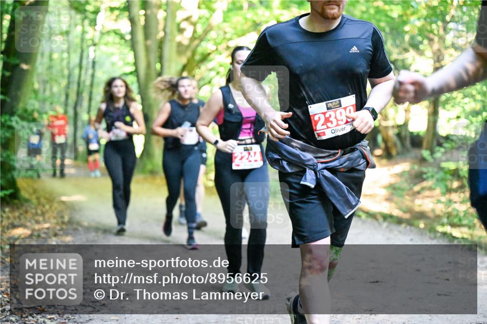 28.09.2025 - 33. Volkslauf durch das schöne Alstertal Dr. Thomas Lammeyer http://msf.ph/oto/8956625 28.09.2025 10:45:27 Laufen 2244, 2399 meine-sportfotos.de