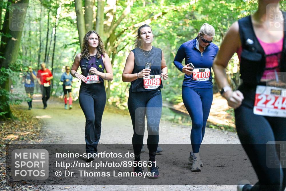 28.09.2025 - 33. Volkslauf durch das schöne Alstertal Dr. Thomas Lammeyer http://msf.ph/oto/8956631 28.09.2025 10:45:28 Laufen 368, 2099, 2100, 2244 meine-sportfotos.de