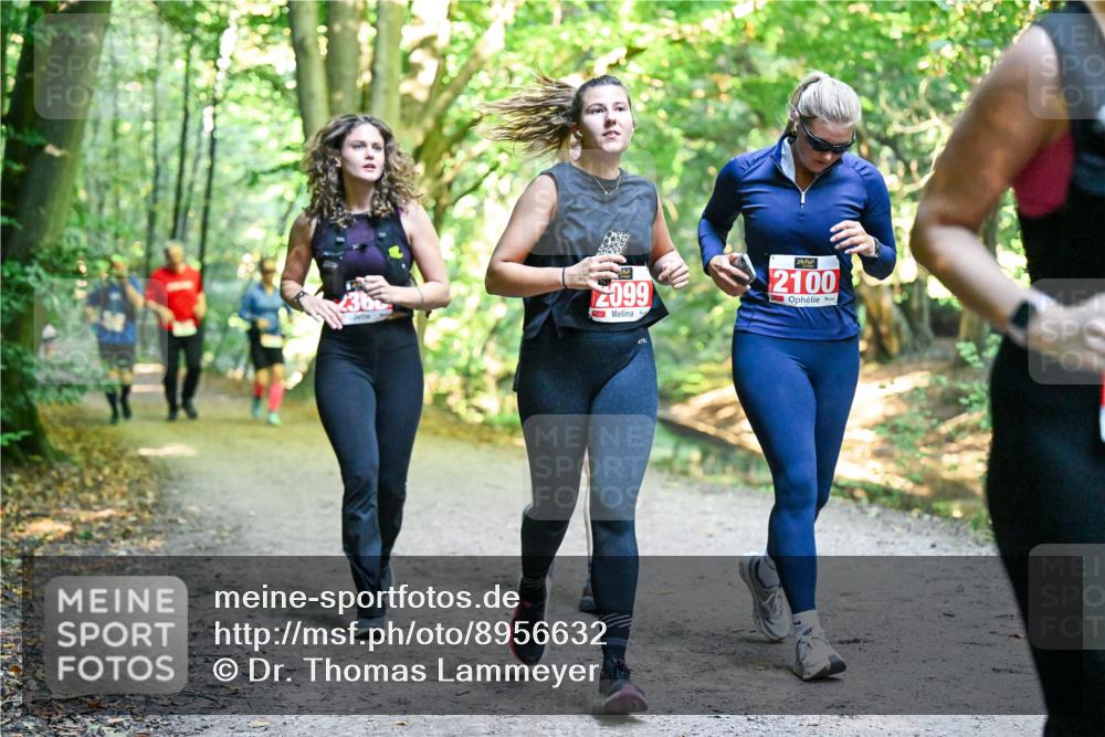 28.09.2025 - 33. Volkslauf durch das schöne Alstertal Dr. Thomas Lammeyer http://msf.ph/oto/8956632 28.09.2025 10:45:28 Laufen 2099, 2100 meine-sportfotos.de