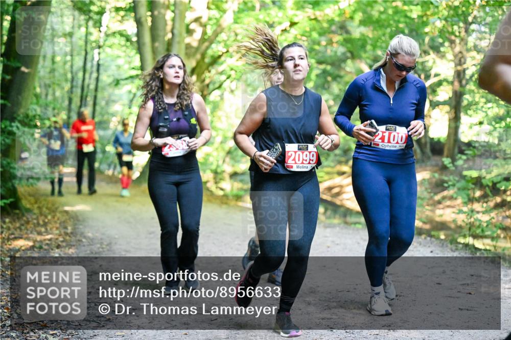 28.09.2025 - 33. Volkslauf durch das schöne Alstertal Dr. Thomas Lammeyer http://msf.ph/oto/8956633 28.09.2025 10:45:29 Laufen 2099, 2100 meine-sportfotos.de