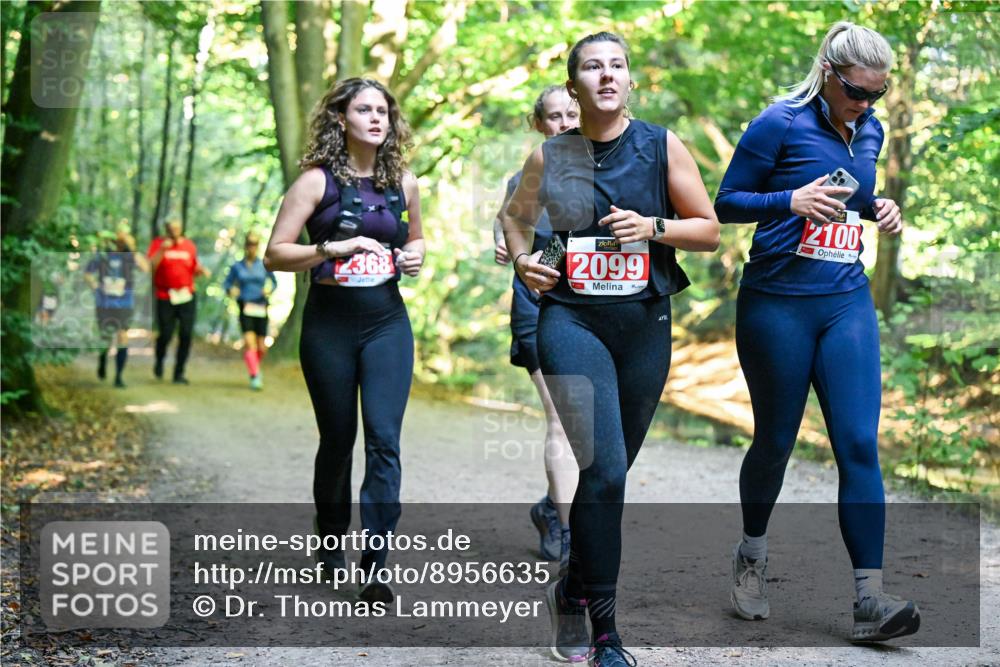 28.09.2025 - 33. Volkslauf durch das schöne Alstertal Dr. Thomas Lammeyer http://msf.ph/oto/8956635 28.09.2025 10:45:29 Laufen 368, 2099, 2100 meine-sportfotos.de