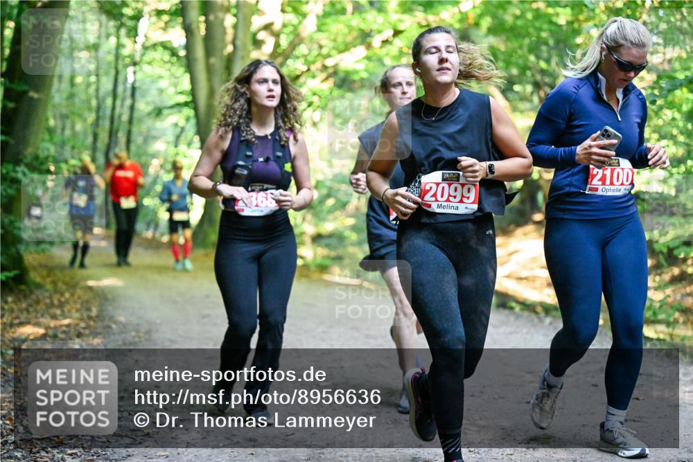 28.09.2025 - 33. Volkslauf durch das schöne Alstertal Dr. Thomas Lammeyer http://msf.ph/oto/8956636 28.09.2025 10:45:29 Laufen 366, 2099, 2100 meine-sportfotos.de