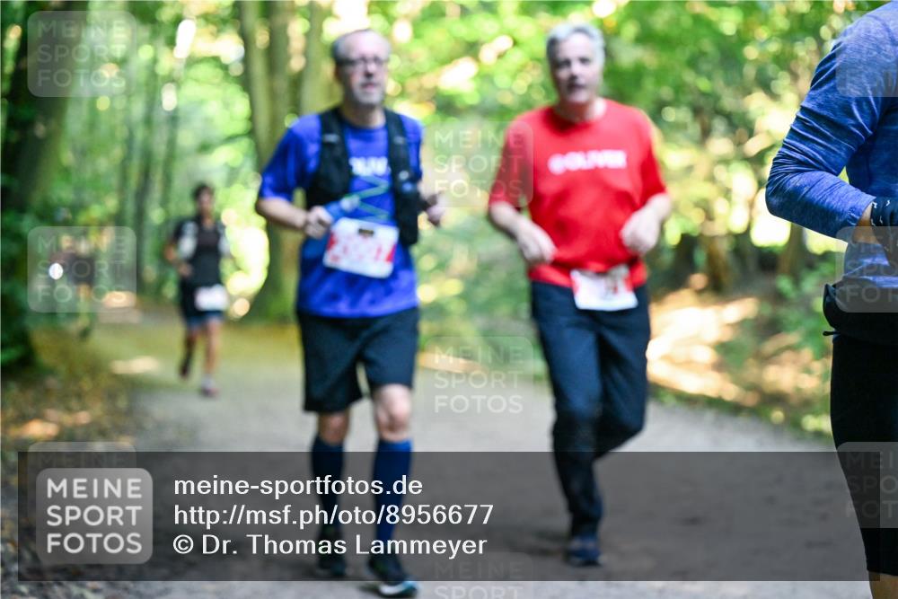 28.09.2025 - 33. Volkslauf durch das schöne Alstertal Dr. Thomas Lammeyer http://msf.ph/oto/8956677 28.09.2025 10:45:36 Laufen  meine-sportfotos.de