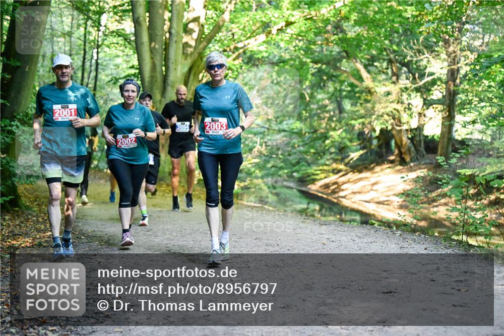 28.09.2025 - 33. Volkslauf durch das schöne Alstertal Dr. Thomas Lammeyer http://msf.ph/oto/8956797 28.09.2025 10:46:07 Laufen 2001, 2002, 3094, 2003 meine-sportfotos.de