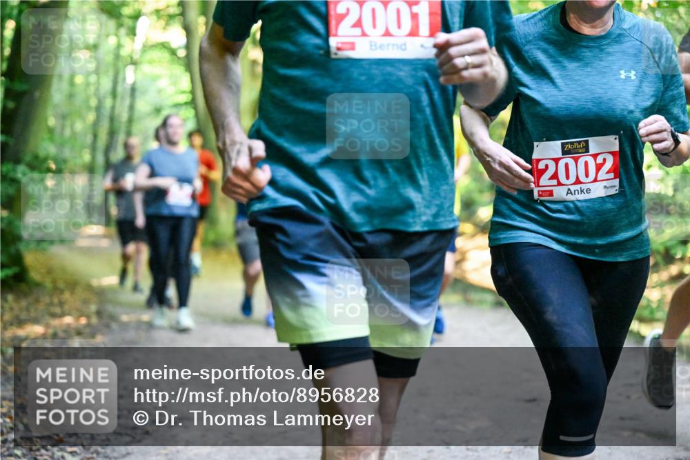 28.09.2025 - 33. Volkslauf durch das schöne Alstertal Dr. Thomas Lammeyer http://msf.ph/oto/8956828 28.09.2025 10:46:10 Laufen 2001, 2002 meine-sportfotos.de