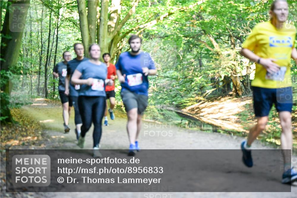 28.09.2025 - 33. Volkslauf durch das schöne Alstertal Dr. Thomas Lammeyer http://msf.ph/oto/8956833 28.09.2025 10:46:11 Laufen  meine-sportfotos.de