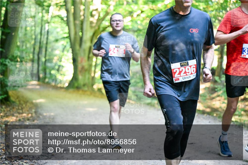 28.09.2025 - 33. Volkslauf durch das schöne Alstertal Dr. Thomas Lammeyer http://msf.ph/oto/8956856 28.09.2025 10:46:14 Laufen 2435, 2296, 3 meine-sportfotos.de