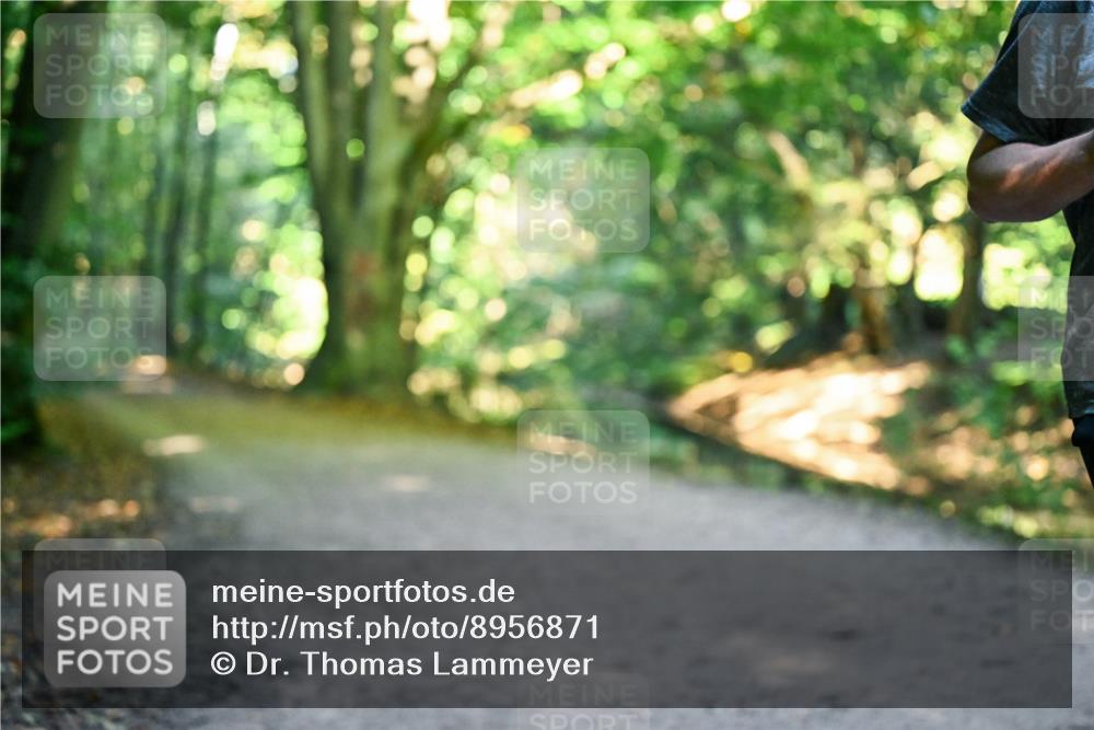 28.09.2025 - 33. Volkslauf durch das schöne Alstertal Dr. Thomas Lammeyer http://msf.ph/oto/8956871 28.09.2025 10:46:15 Laufen  meine-sportfotos.de