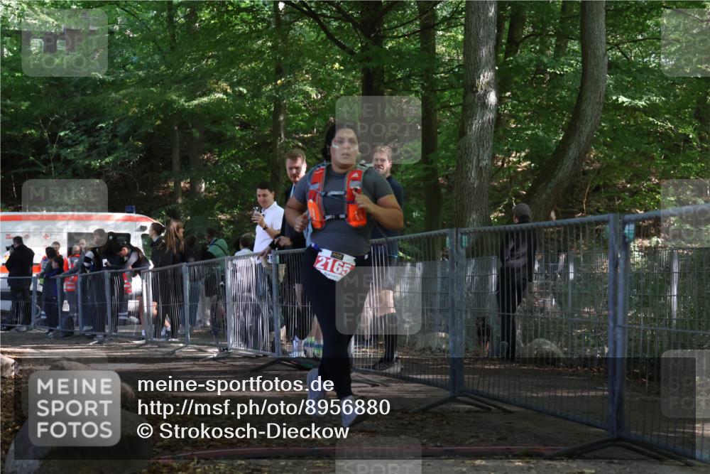 28.09.2025 - 33. Volkslauf durch das schöne Alstertal Strokosch-Dieckow http://msf.ph/oto/8956880 28.09.2025 12:56:48 Ziel 2165 meine-sportfotos.de