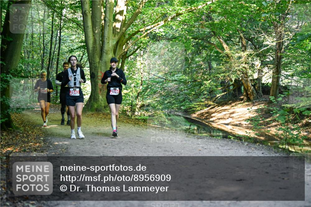 28.09.2025 - 33. Volkslauf durch das schöne Alstertal Dr. Thomas Lammeyer http://msf.ph/oto/8956909 28.09.2025 10:46:28 Laufen 2473, 2643, 2644 meine-sportfotos.de