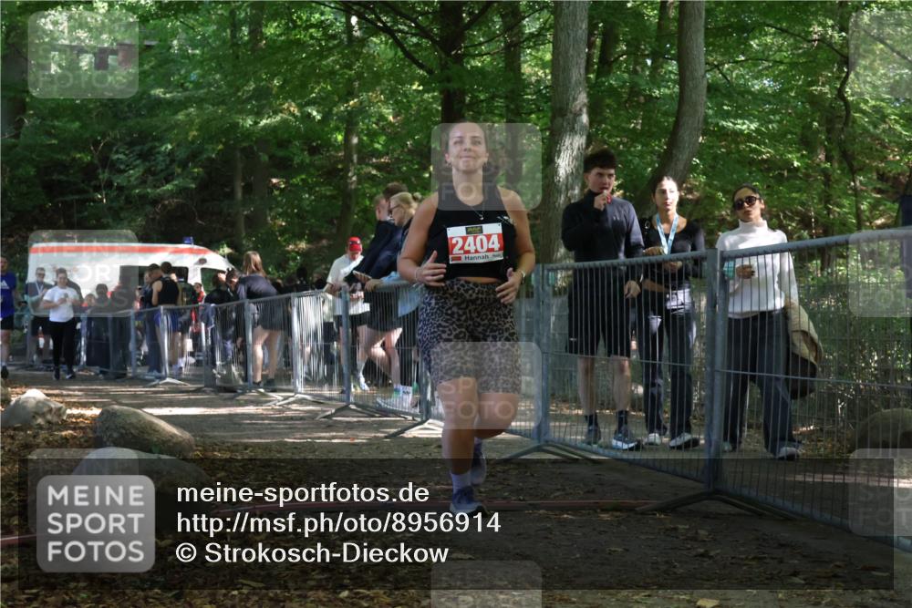 28.09.2025 - 33. Volkslauf durch das schöne Alstertal Strokosch-Dieckow http://msf.ph/oto/8956914 28.09.2025 12:58:46 Ziel 2291, 2404 meine-sportfotos.de