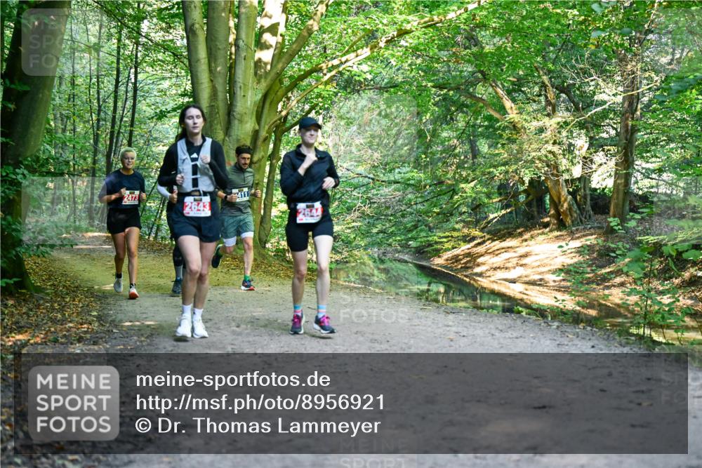 28.09.2025 - 33. Volkslauf durch das schöne Alstertal Dr. Thomas Lammeyer http://msf.ph/oto/8956921 28.09.2025 10:46:29 Laufen 2473, 2643, 411 meine-sportfotos.de