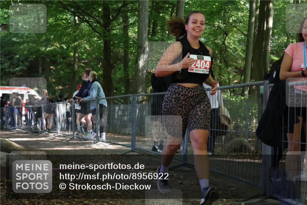 28.09.2025 - 33. Volkslauf durch das schöne Alstertal Strokosch-Dieckow http://msf.ph/oto/8956922 28.09.2025 12:58:47 Ziel 2290, 2291, 2404 meine-sportfotos.de