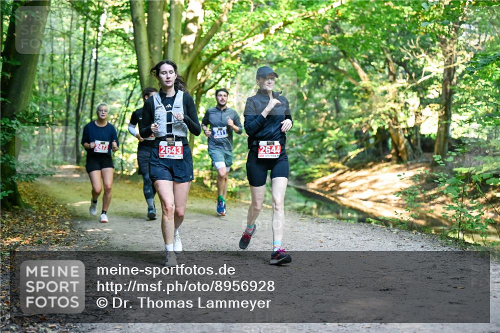28.09.2025 - 33. Volkslauf durch das schöne Alstertal Dr. Thomas Lammeyer http://msf.ph/oto/8956928 28.09.2025 10:46:30 Laufen 2473, 2643, 3411, 2644 meine-sportfotos.de