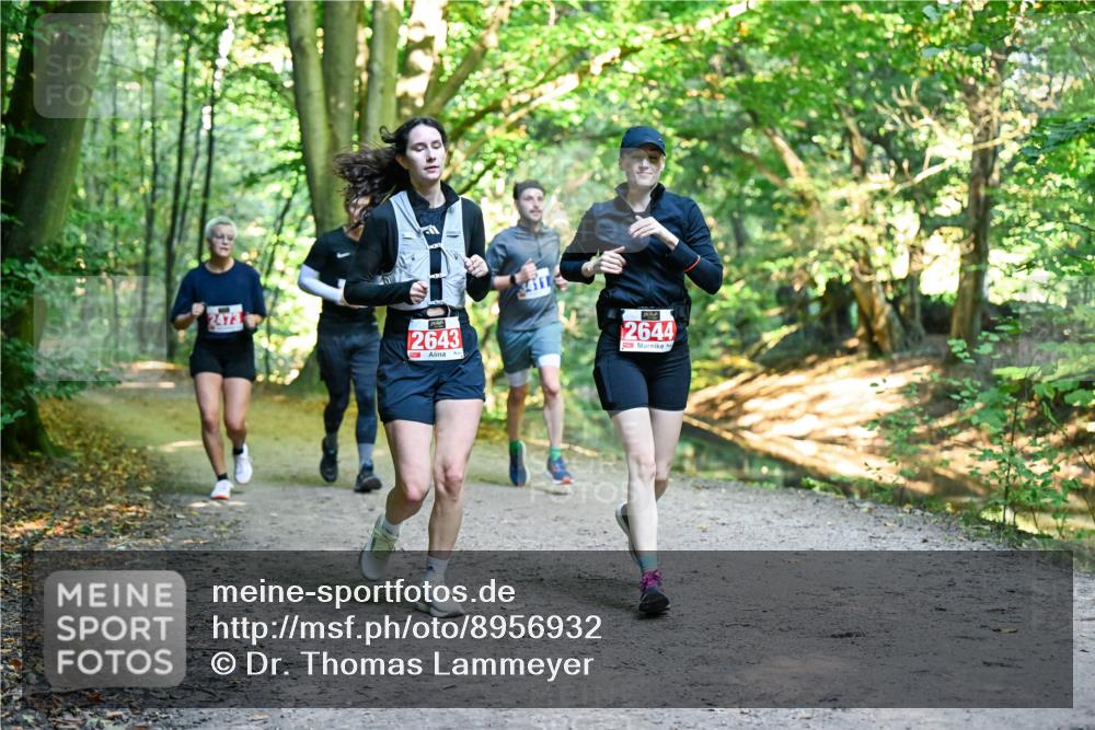 28.09.2025 - 33. Volkslauf durch das schöne Alstertal Dr. Thomas Lammeyer http://msf.ph/oto/8956932 28.09.2025 10:46:30 Laufen 2643, 2644 meine-sportfotos.de