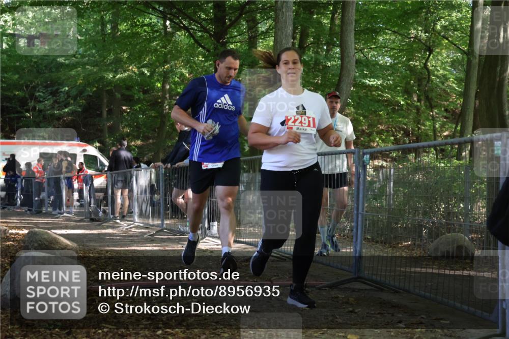 28.09.2025 - 33. Volkslauf durch das schöne Alstertal Strokosch-Dieckow http://msf.ph/oto/8956935 28.09.2025 12:58:55 Ziel 2290, 2291 meine-sportfotos.de