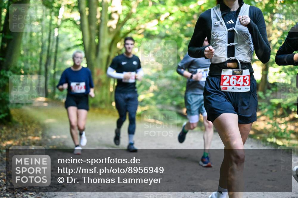 28.09.2025 - 33. Volkslauf durch das schöne Alstertal Dr. Thomas Lammeyer http://msf.ph/oto/8956949 28.09.2025 10:46:32 Laufen 2643 meine-sportfotos.de