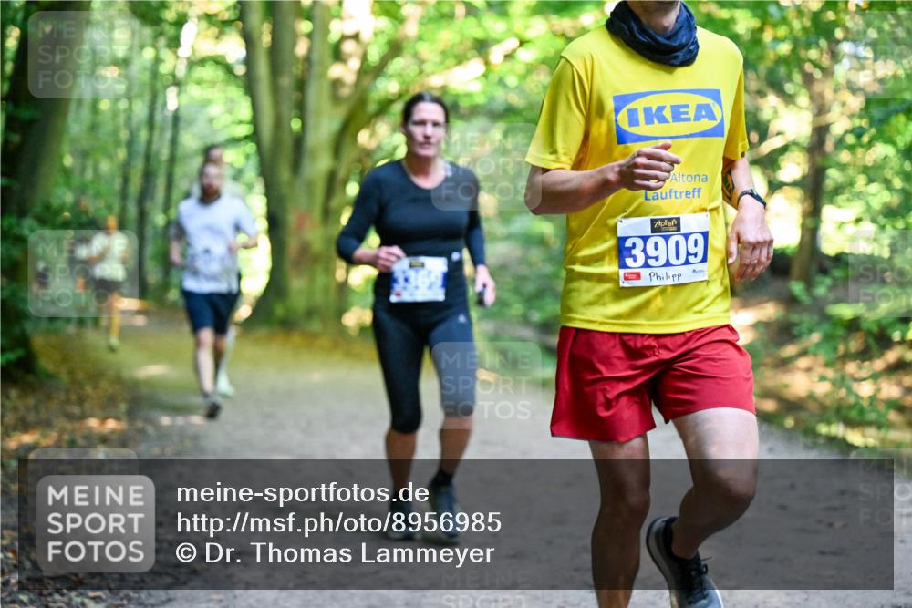 28.09.2025 - 33. Volkslauf durch das schöne Alstertal Dr. Thomas Lammeyer http://msf.ph/oto/8956985 28.09.2025 10:46:40 Laufen 3909 meine-sportfotos.de