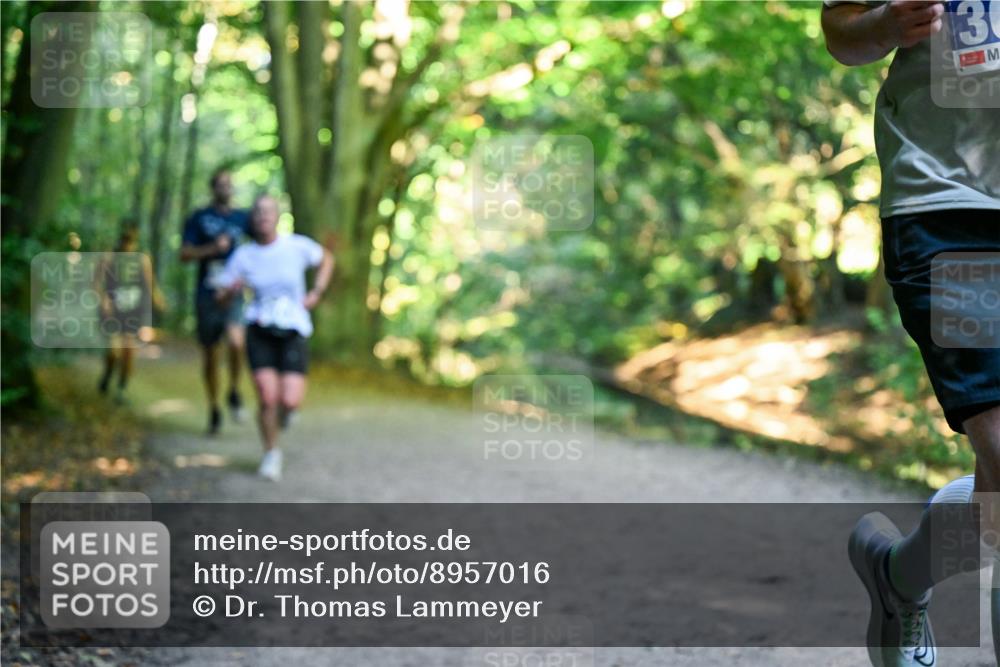 28.09.2025 - 33. Volkslauf durch das schöne Alstertal Dr. Thomas Lammeyer http://msf.ph/oto/8957016 28.09.2025 10:46:44 Laufen 2000, 13 meine-sportfotos.de