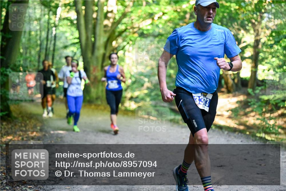 28.09.2025 - 33. Volkslauf durch das schöne Alstertal Dr. Thomas Lammeyer http://msf.ph/oto/8957094 28.09.2025 10:47:06 Laufen 3313 meine-sportfotos.de