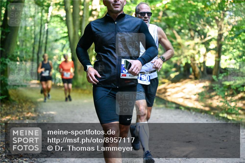 28.09.2025 - 33. Volkslauf durch das schöne Alstertal Dr. Thomas Lammeyer http://msf.ph/oto/8957117 28.09.2025 10:47:10 Laufen 90 meine-sportfotos.de