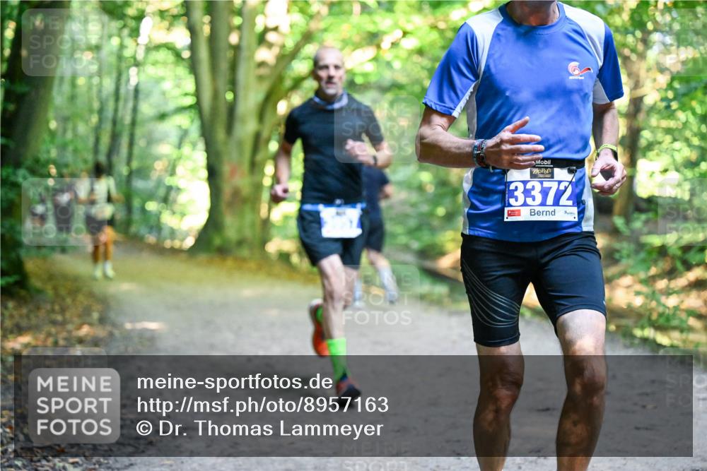 28.09.2025 - 33. Volkslauf durch das schöne Alstertal Dr. Thomas Lammeyer http://msf.ph/oto/8957163 28.09.2025 10:47:22 Laufen 3372 meine-sportfotos.de