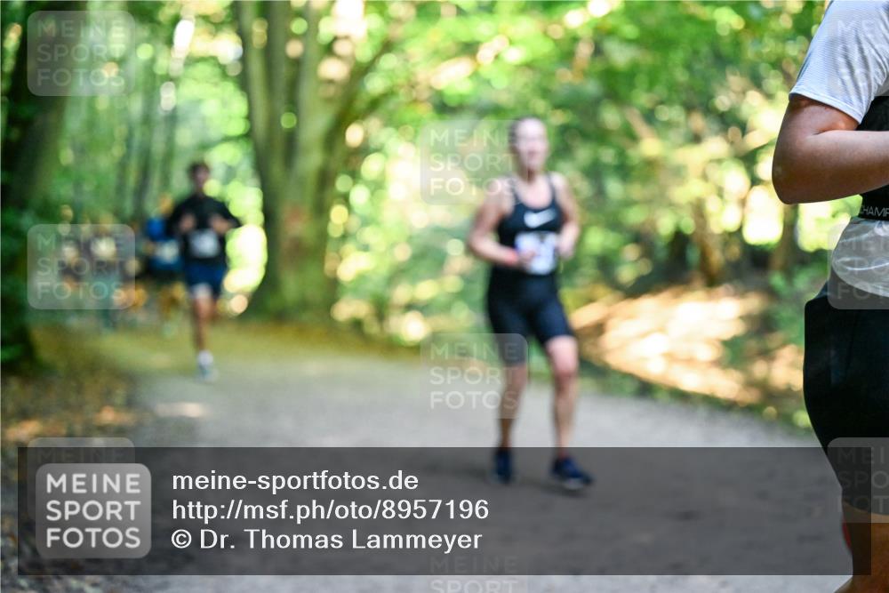 28.09.2025 - 33. Volkslauf durch das schöne Alstertal Dr. Thomas Lammeyer http://msf.ph/oto/8957196 28.09.2025 10:47:30 Laufen  meine-sportfotos.de