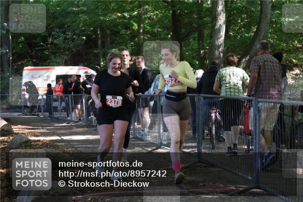 28.09.2025 - 33. Volkslauf durch das schöne Alstertal Strokosch-Dieckow http://msf.ph/oto/8957242 28.09.2025 13:02:17 Ziel 2247, 2378, 2527 meine-sportfotos.de