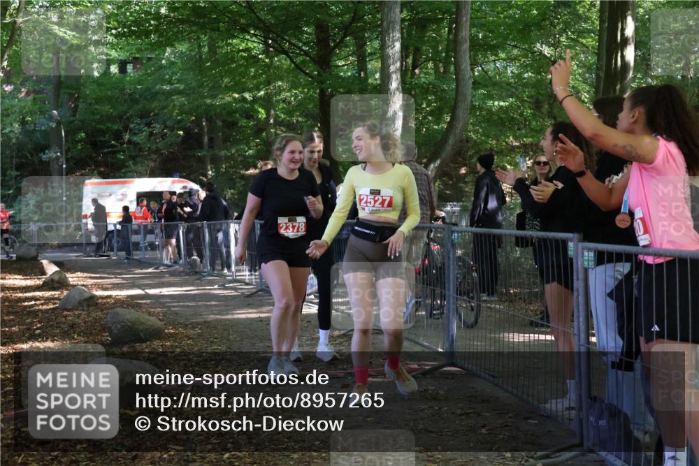 28.09.2025 - 33. Volkslauf durch das schöne Alstertal Strokosch-Dieckow http://msf.ph/oto/8957265 28.09.2025 13:02:18 Ziel 2247, 2378, 2527 meine-sportfotos.de