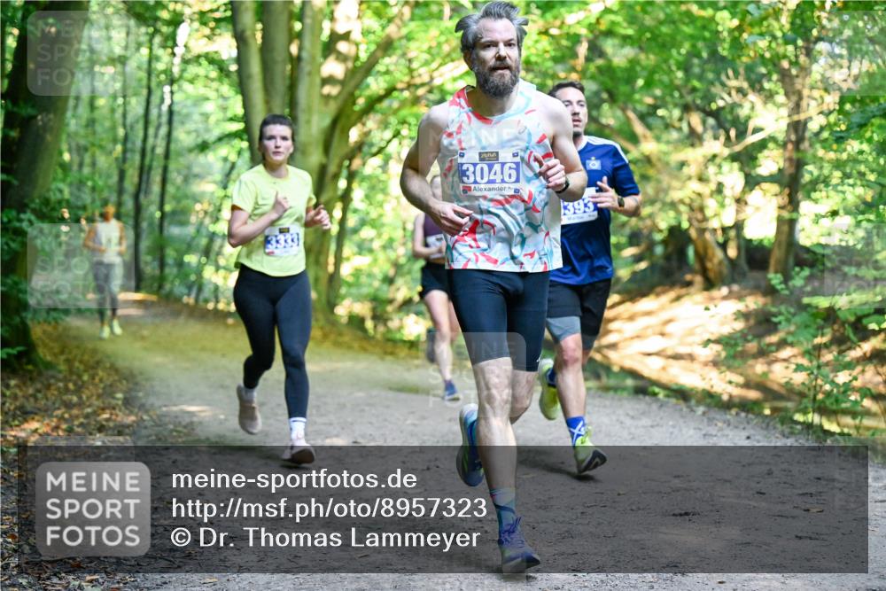 28.09.2025 - 33. Volkslauf durch das schöne Alstertal Dr. Thomas Lammeyer http://msf.ph/oto/8957323 28.09.2025 10:47:55 Laufen 3046, 393 meine-sportfotos.de