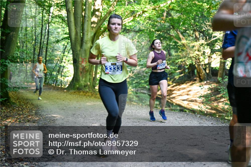28.09.2025 - 33. Volkslauf durch das schöne Alstertal Dr. Thomas Lammeyer http://msf.ph/oto/8957329 28.09.2025 10:47:55 Laufen 3333, 13223 meine-sportfotos.de