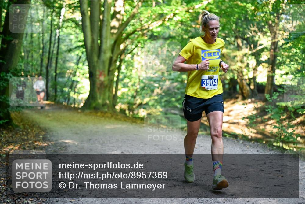 28.09.2025 - 33. Volkslauf durch das schöne Alstertal Dr. Thomas Lammeyer http://msf.ph/oto/8957369 28.09.2025 10:48:07 Laufen 3904 meine-sportfotos.de