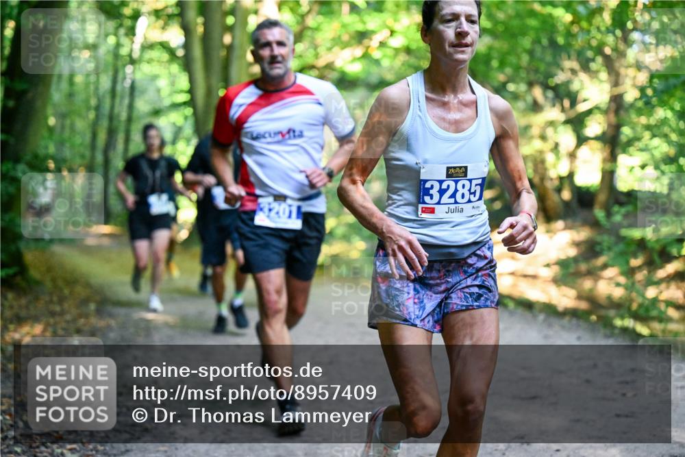 28.09.2025 - 33. Volkslauf durch das schöne Alstertal Dr. Thomas Lammeyer http://msf.ph/oto/8957409 28.09.2025 10:48:18 Laufen 3285, 3201 meine-sportfotos.de