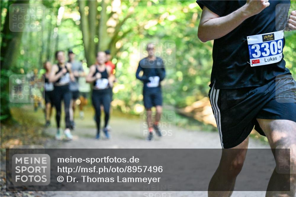 28.09.2025 - 33. Volkslauf durch das schöne Alstertal Dr. Thomas Lammeyer http://msf.ph/oto/8957496 28.09.2025 10:48:32 Laufen 3309 meine-sportfotos.de