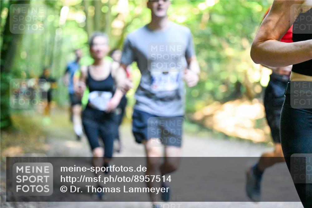 28.09.2025 - 33. Volkslauf durch das schöne Alstertal Dr. Thomas Lammeyer http://msf.ph/oto/8957514 28.09.2025 10:48:35 Laufen  meine-sportfotos.de