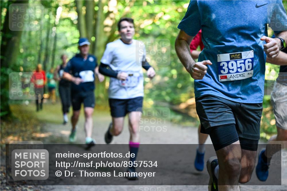 28.09.2025 - 33. Volkslauf durch das schöne Alstertal Dr. Thomas Lammeyer http://msf.ph/oto/8957534 28.09.2025 10:48:38 Laufen 3956 meine-sportfotos.de