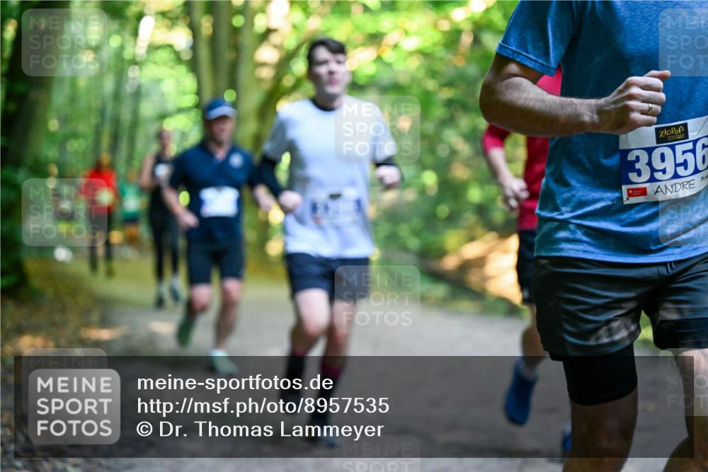 28.09.2025 - 33. Volkslauf durch das schöne Alstertal Dr. Thomas Lammeyer http://msf.ph/oto/8957535 28.09.2025 10:48:39 Laufen 3956 meine-sportfotos.de