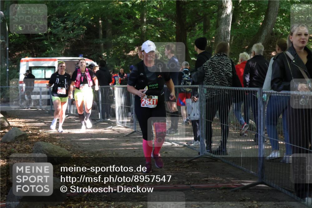 28.09.2025 - 33. Volkslauf durch das schöne Alstertal Strokosch-Dieckow http://msf.ph/oto/8957547 28.09.2025 13:03:32 Ziel 2105, 2641 meine-sportfotos.de