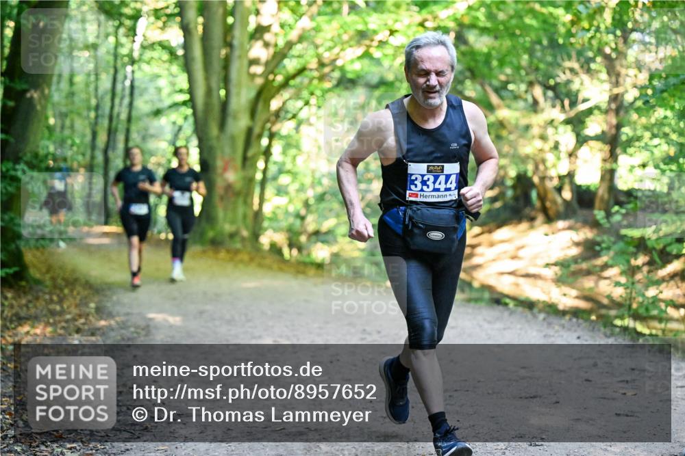 28.09.2025 - 33. Volkslauf durch das schöne Alstertal Dr. Thomas Lammeyer http://msf.ph/oto/8957652 28.09.2025 10:48:56 Laufen 3344 meine-sportfotos.de