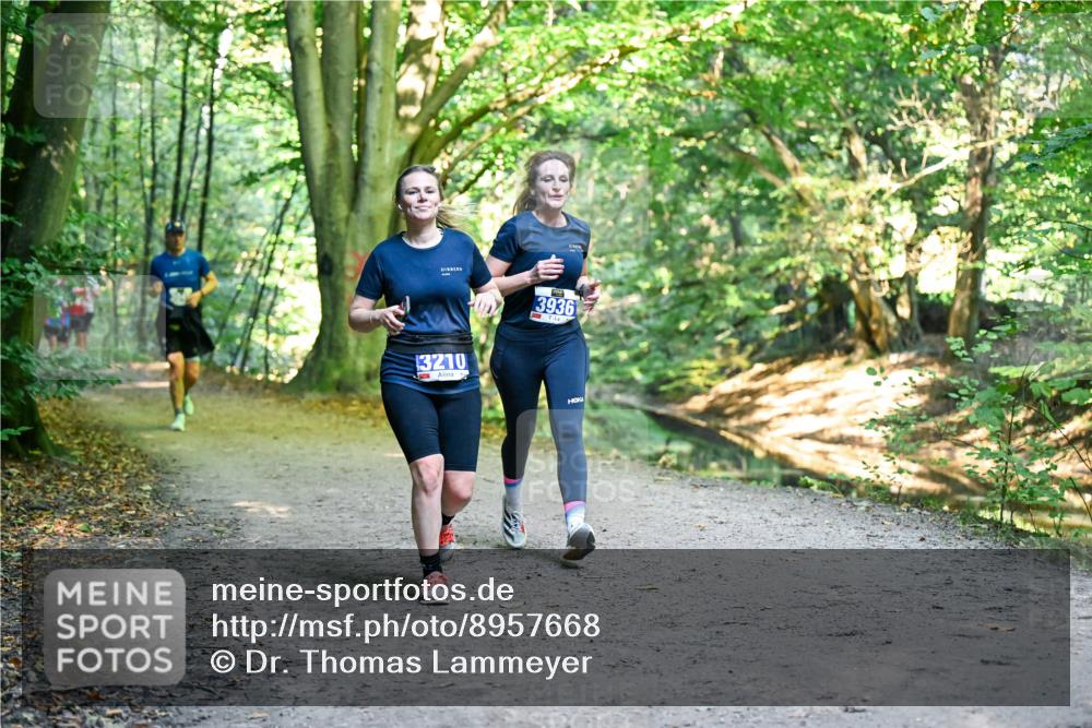 28.09.2025 - 33. Volkslauf durch das schöne Alstertal Dr. Thomas Lammeyer http://msf.ph/oto/8957668 28.09.2025 10:48:59 Laufen 3210, 3936 meine-sportfotos.de