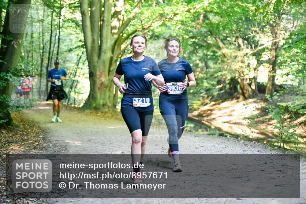 28.09.2025 - 33. Volkslauf durch das schöne Alstertal Dr. Thomas Lammeyer http://msf.ph/oto/8957671 28.09.2025 10:49:00 Laufen 3210, 3936 meine-sportfotos.de