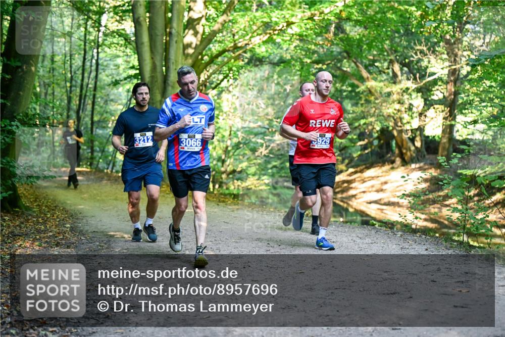 28.09.2025 - 33. Volkslauf durch das schöne Alstertal Dr. Thomas Lammeyer http://msf.ph/oto/8957696 28.09.2025 10:49:08 Laufen 3066, 5929, 3212 meine-sportfotos.de