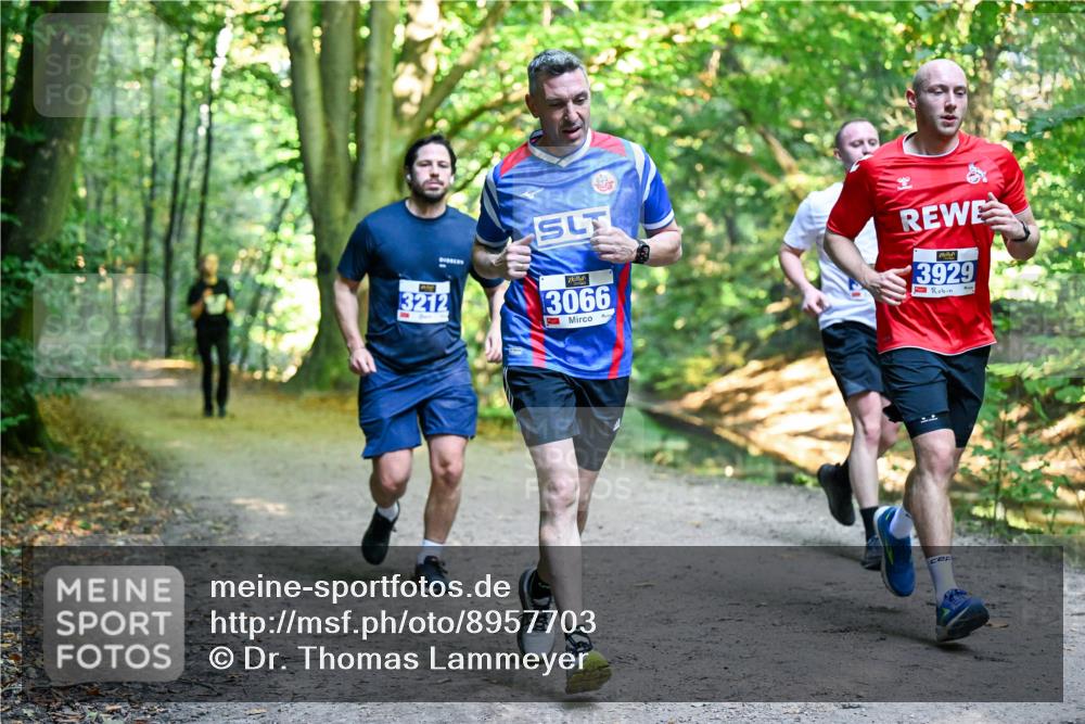 28.09.2025 - 33. Volkslauf durch das schöne Alstertal Dr. Thomas Lammeyer http://msf.ph/oto/8957703 28.09.2025 10:49:09 Laufen 2, 3066, 3929, 3212 meine-sportfotos.de