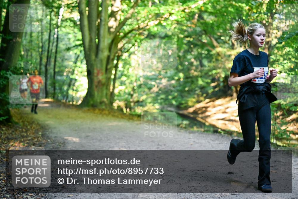 28.09.2025 - 33. Volkslauf durch das schöne Alstertal Dr. Thomas Lammeyer http://msf.ph/oto/8957733 28.09.2025 10:49:14 Laufen  meine-sportfotos.de