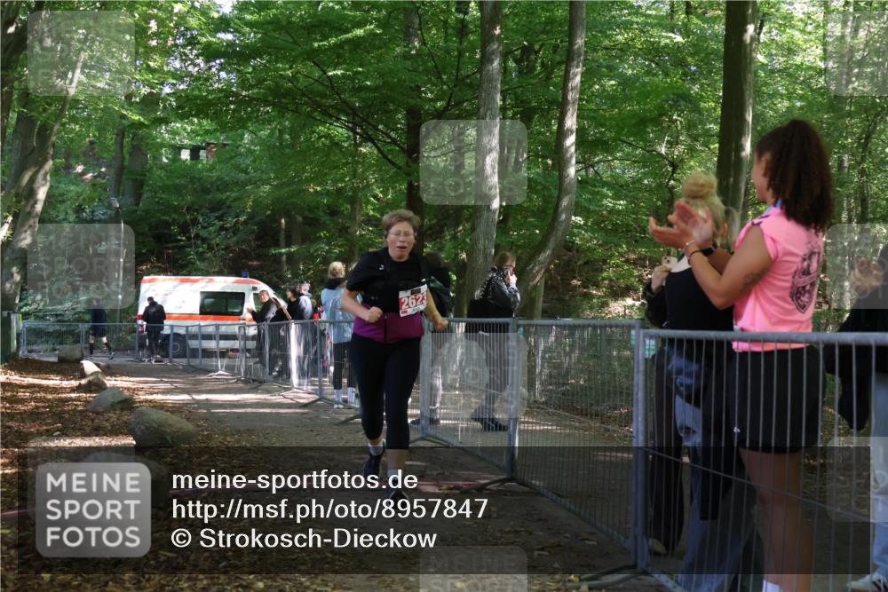 28.09.2025 - 33. Volkslauf durch das schöne Alstertal Strokosch-Dieckow http://msf.ph/oto/8957847 28.09.2025 13:05:43 Ziel 2623 meine-sportfotos.de