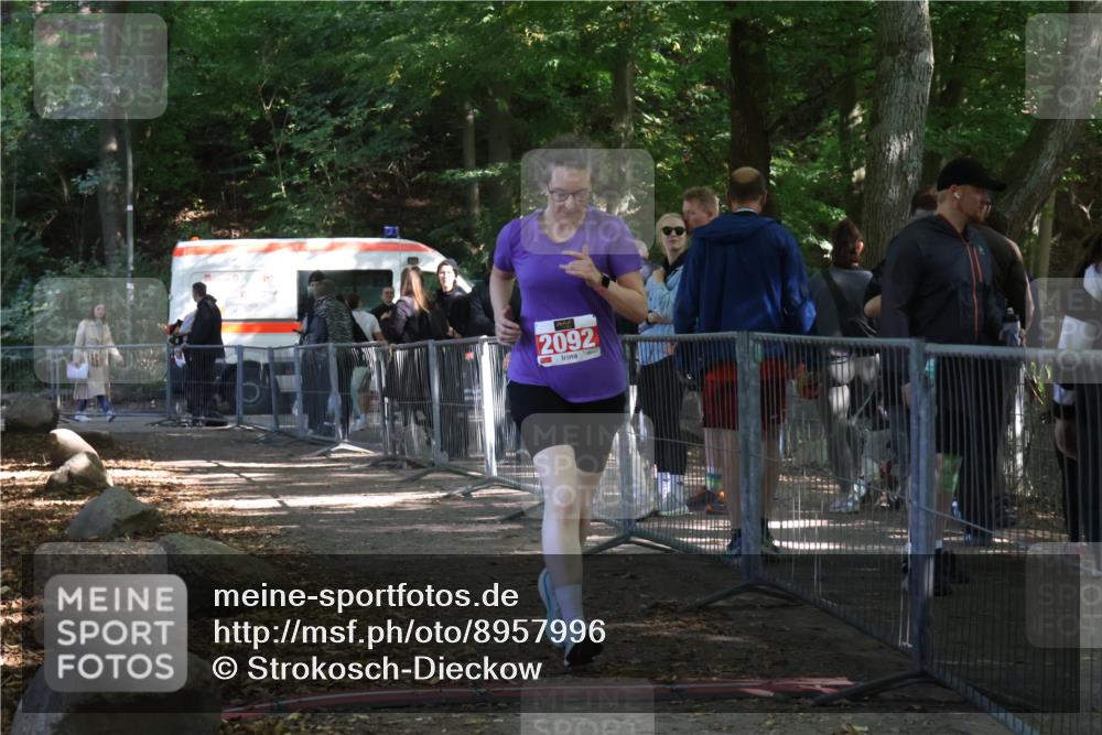 28.09.2025 - 33. Volkslauf durch das schöne Alstertal Strokosch-Dieckow http://msf.ph/oto/8957996 28.09.2025 13:07:23 Ziel 2092 meine-sportfotos.de
