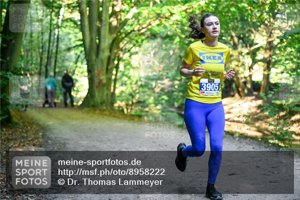 28.09.2025 - 33. Volkslauf durch das schöne Alstertal Dr. Thomas Lammeyer http://msf.ph/oto/8958222 28.09.2025 10:50:53 Laufen 3905 meine-sportfotos.de